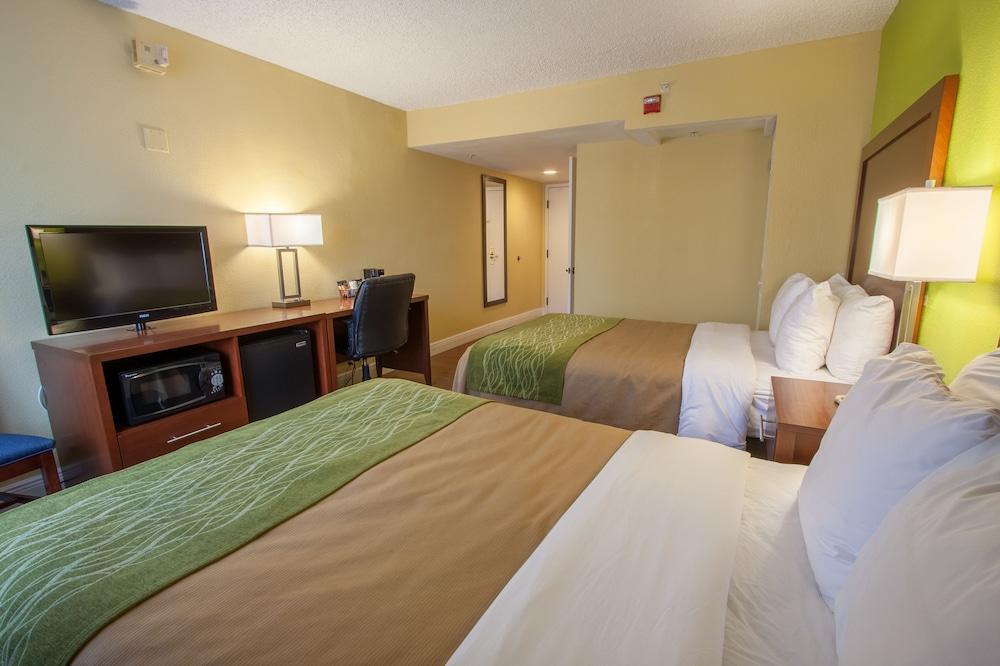 Comfort Inn St Petersburg North St. Petersburg Esterno foto