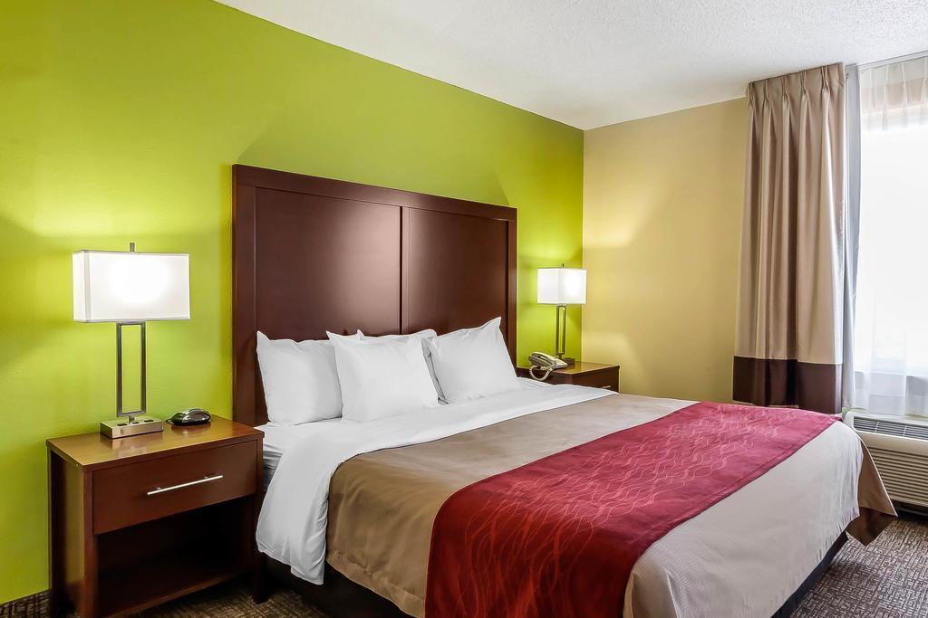 Comfort Inn St Petersburg North St. Petersburg Esterno foto