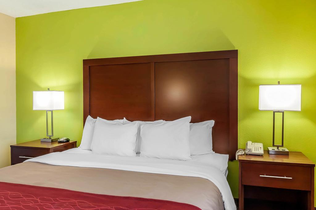 Comfort Inn St Petersburg North St. Petersburg Esterno foto