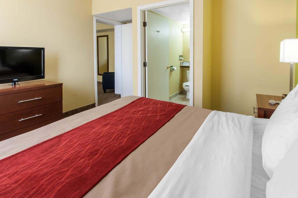 Comfort Inn St Petersburg North St. Petersburg Esterno foto