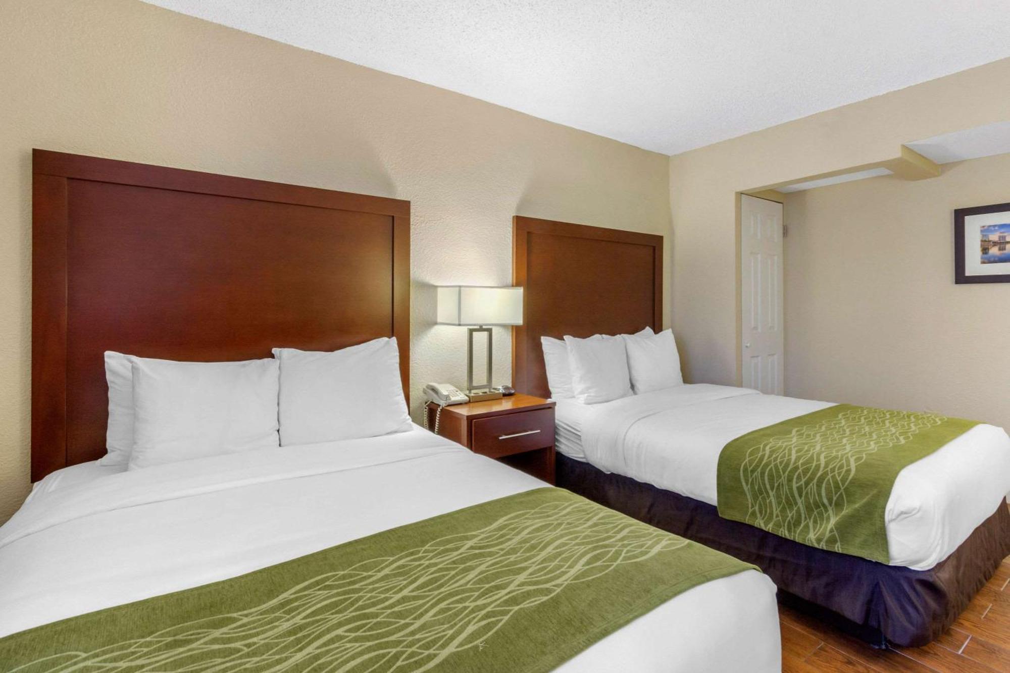 Comfort Inn St Petersburg North St. Petersburg Esterno foto