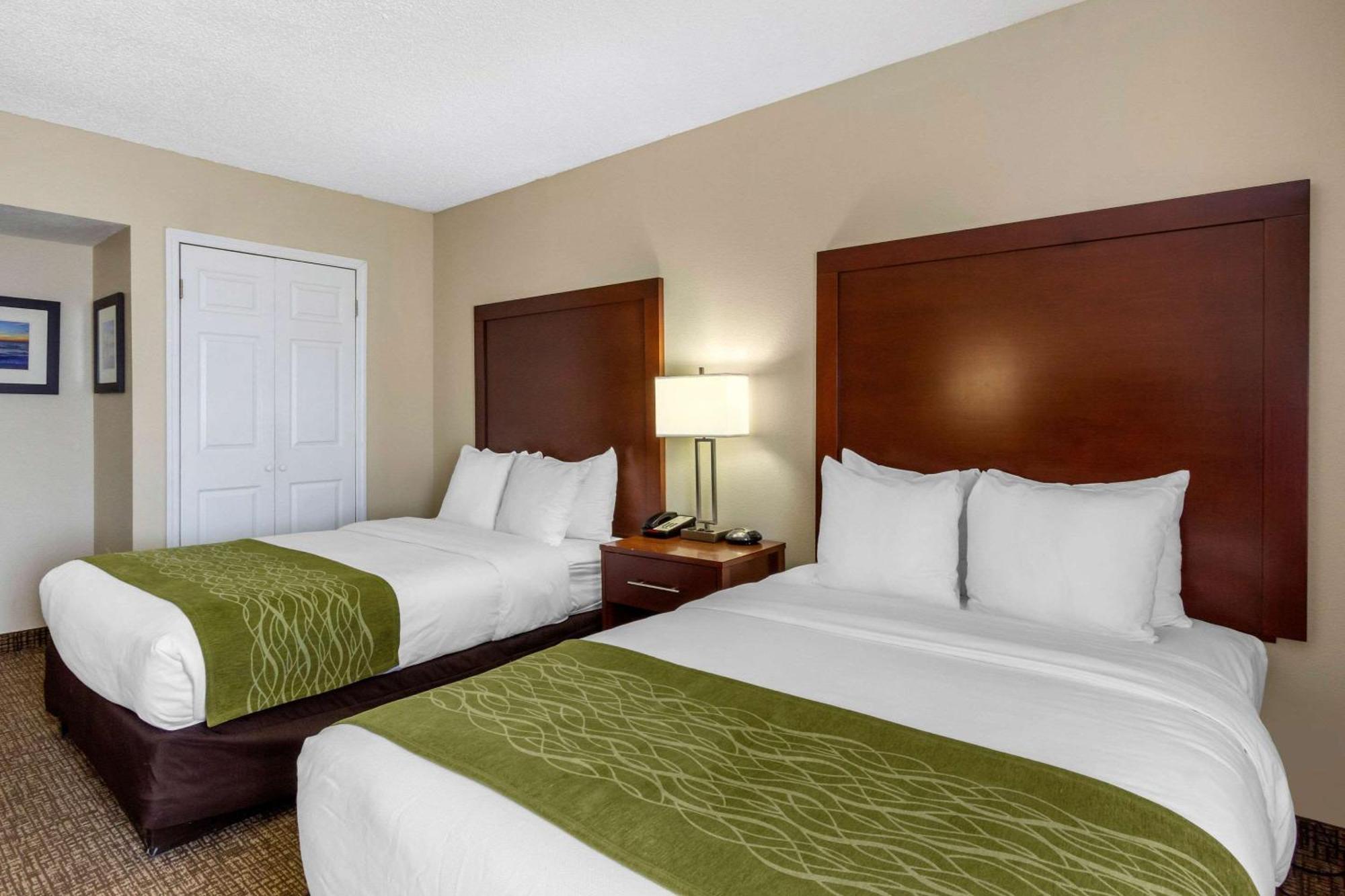 Comfort Inn St Petersburg North St. Petersburg Esterno foto