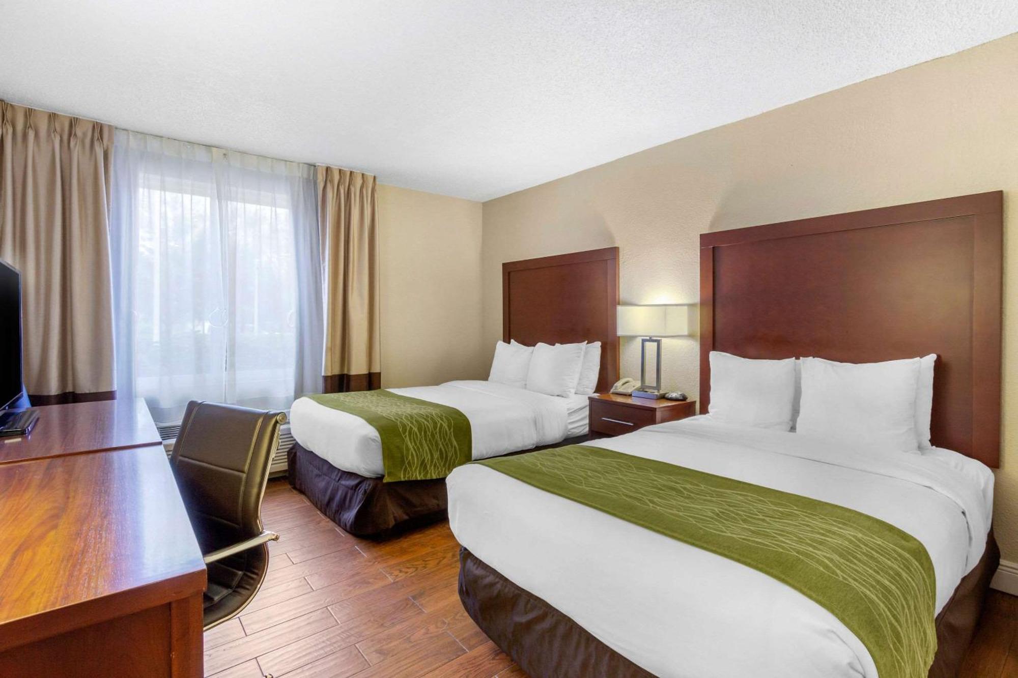 Comfort Inn St Petersburg North St. Petersburg Esterno foto